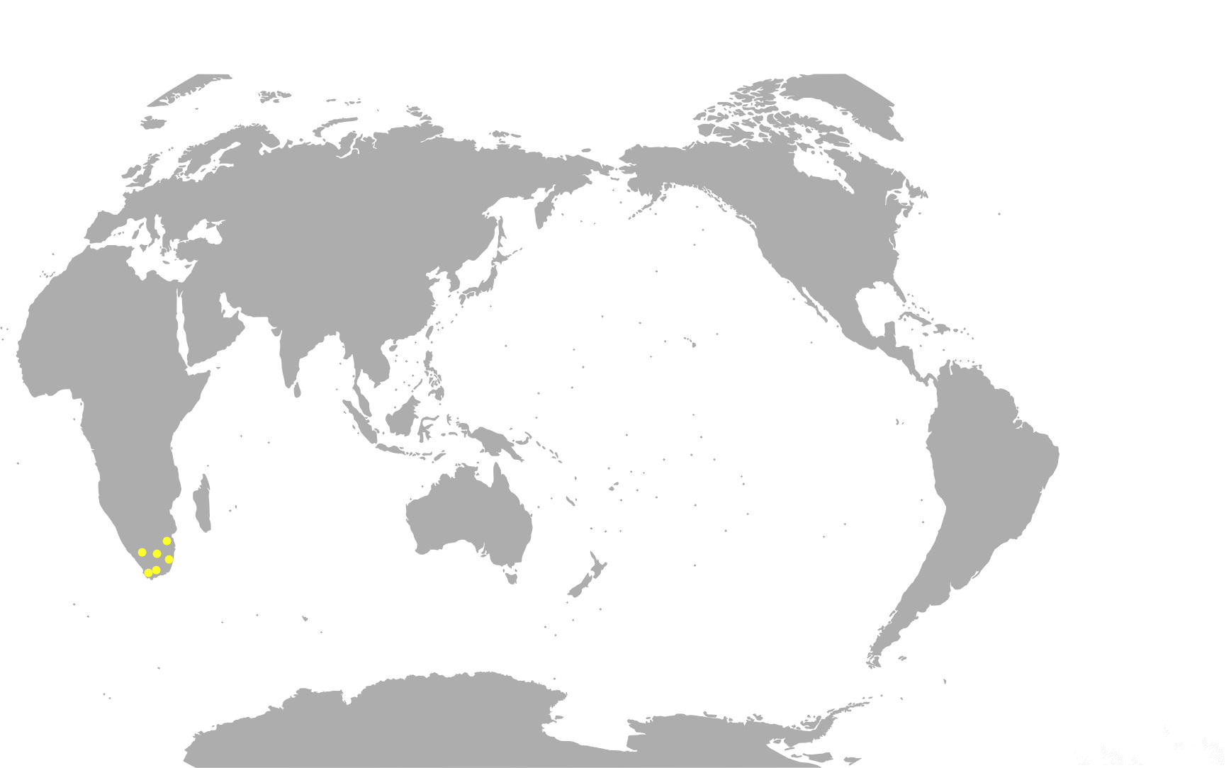 熊童子的地理分布图 熊童子的地理分布图