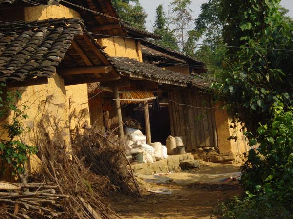 独树村(云南西畴县莲花塘乡下辖村) 独树村(云南西畴县莲花塘乡下辖村)
