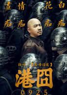 港囧(2015年徐峥执导电影)