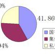 混合所有制经济 混合所有制经济
