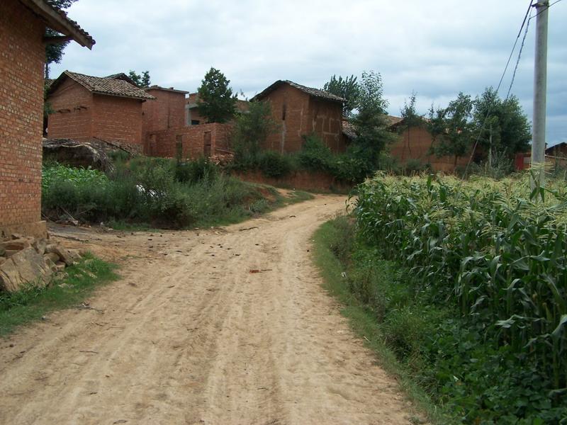 进村道路 进村道路