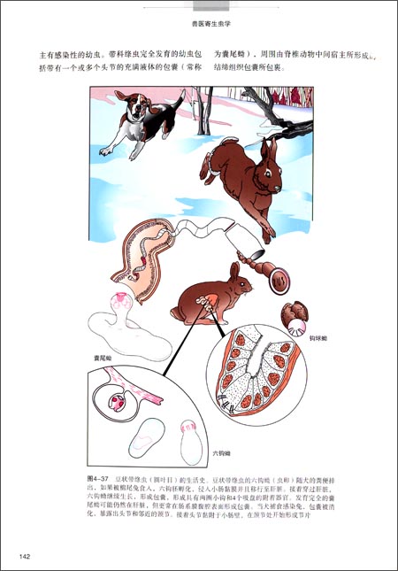 兽医寄生虫学 兽医寄生虫学