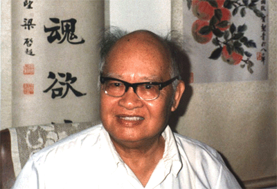 王力 王力