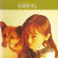 无家可归的小孩 无家可归的小孩