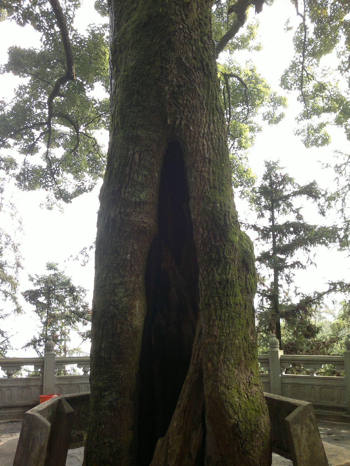 清水岩(福建省泉州市安溪县十八景点之一) 清水岩(福建省泉州市安溪县十八景点之一)