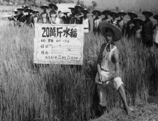 浮夸风 浮夸风
