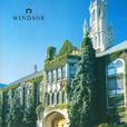 温莎大学 温莎大学