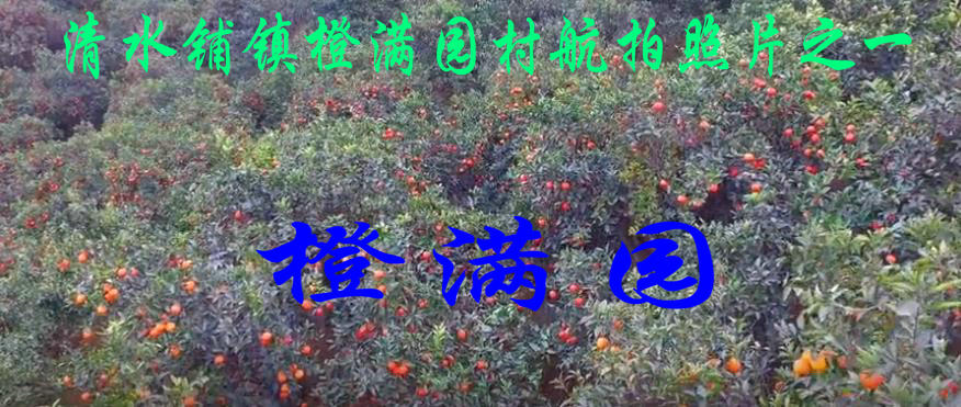 清水铺镇橙满园村 清水铺镇橙满园村