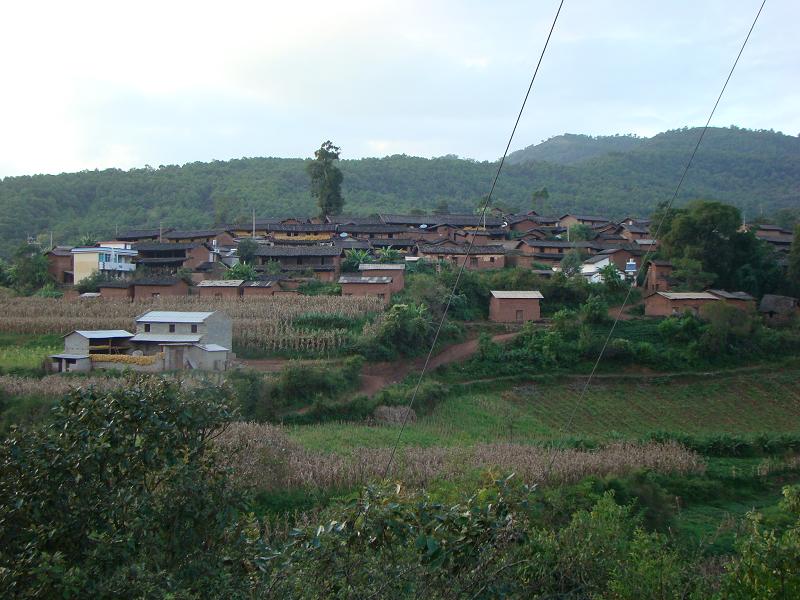 凉伞坡村(云南省禄丰县中村乡凉伞坡村) 凉伞坡村(云南省禄丰县中村乡凉伞坡村)
