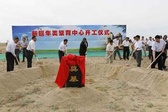隼类繁育研究中心 隼类繁育研究中心