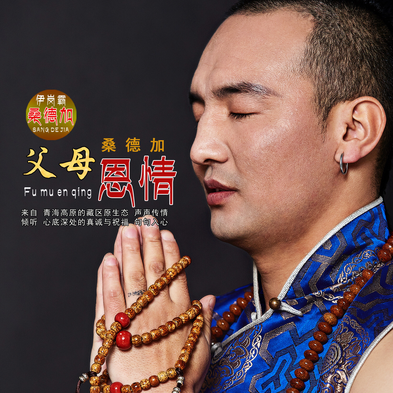 父母恩情(桑德加歌曲专辑) 父母恩情(桑德加歌曲专辑)