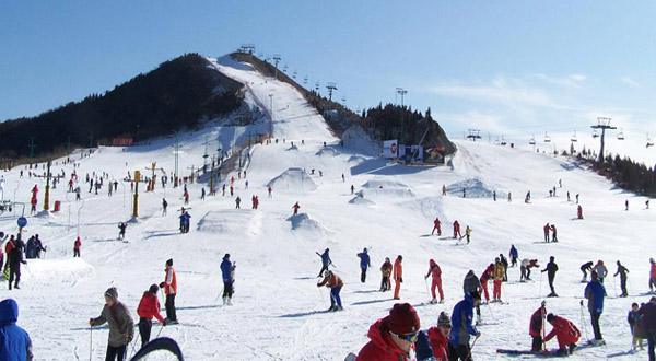 滑雪场 滑雪场