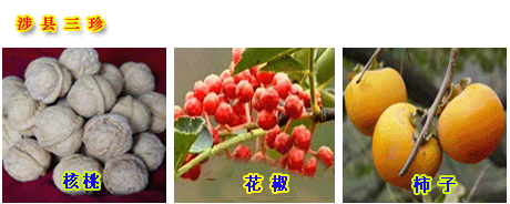 涉县农产品 涉县农产品