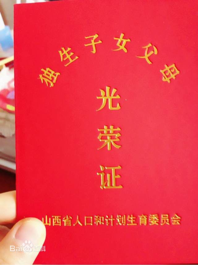 独生子女(一对夫妻生育的唯一孩子) 独生子女(一对夫妻生育的唯一孩子)