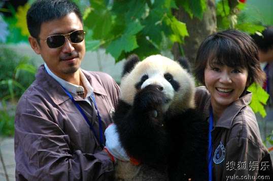王一楠高鑫雅安领养熊猫“女儿” 王一楠高鑫雅安领养熊猫“女儿”