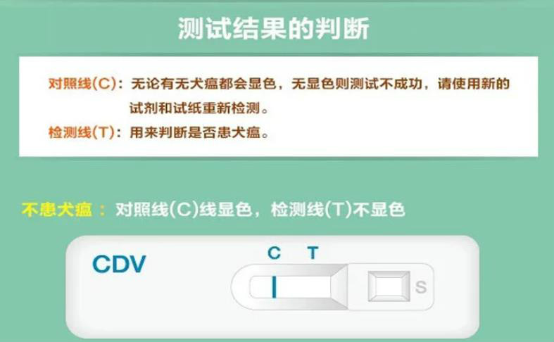 CDV试纸说明：对照线C+检测线T+样品孔S