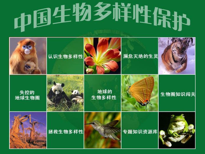 物种多样性 物种多样性