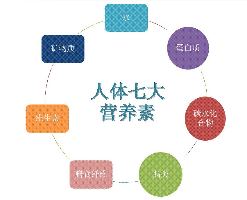 营养(生物所摄取的养料) 营养(生物所摄取的养料)