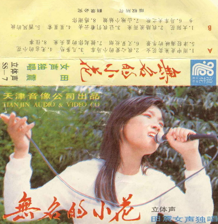 无名的小花(田震专辑) 无名的小花(田震专辑)