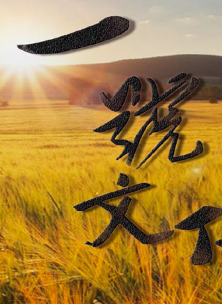 王伟(中国内地女演员)