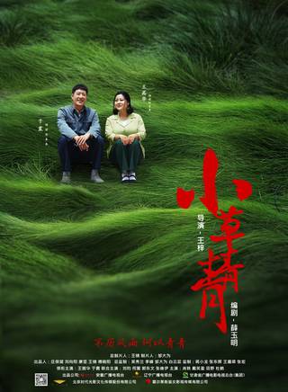 王天泽(中国内地影视童星演员)