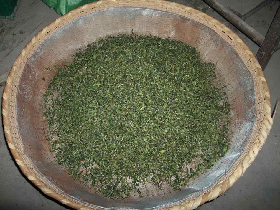 烘茶 烘茶