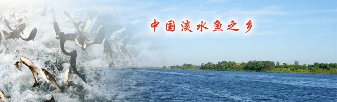 渔耕文化 渔耕文化