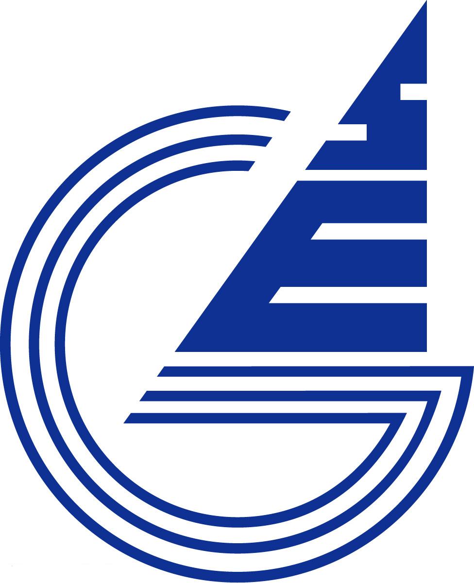 深圳市赛格集团有限公司 深圳市赛格集团有限公司