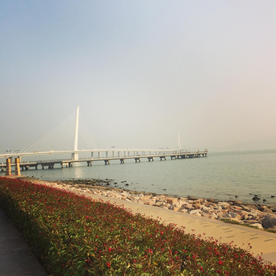 深圳湾公园 深圳湾公园