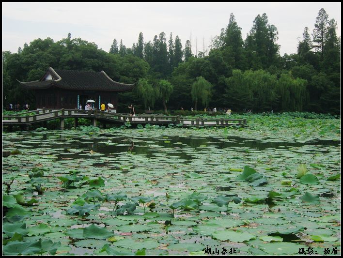 湖山春社 湖山春社
