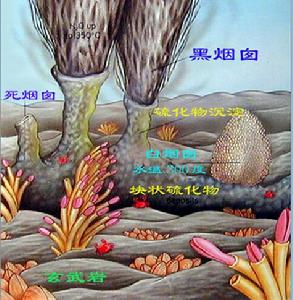热液 热液