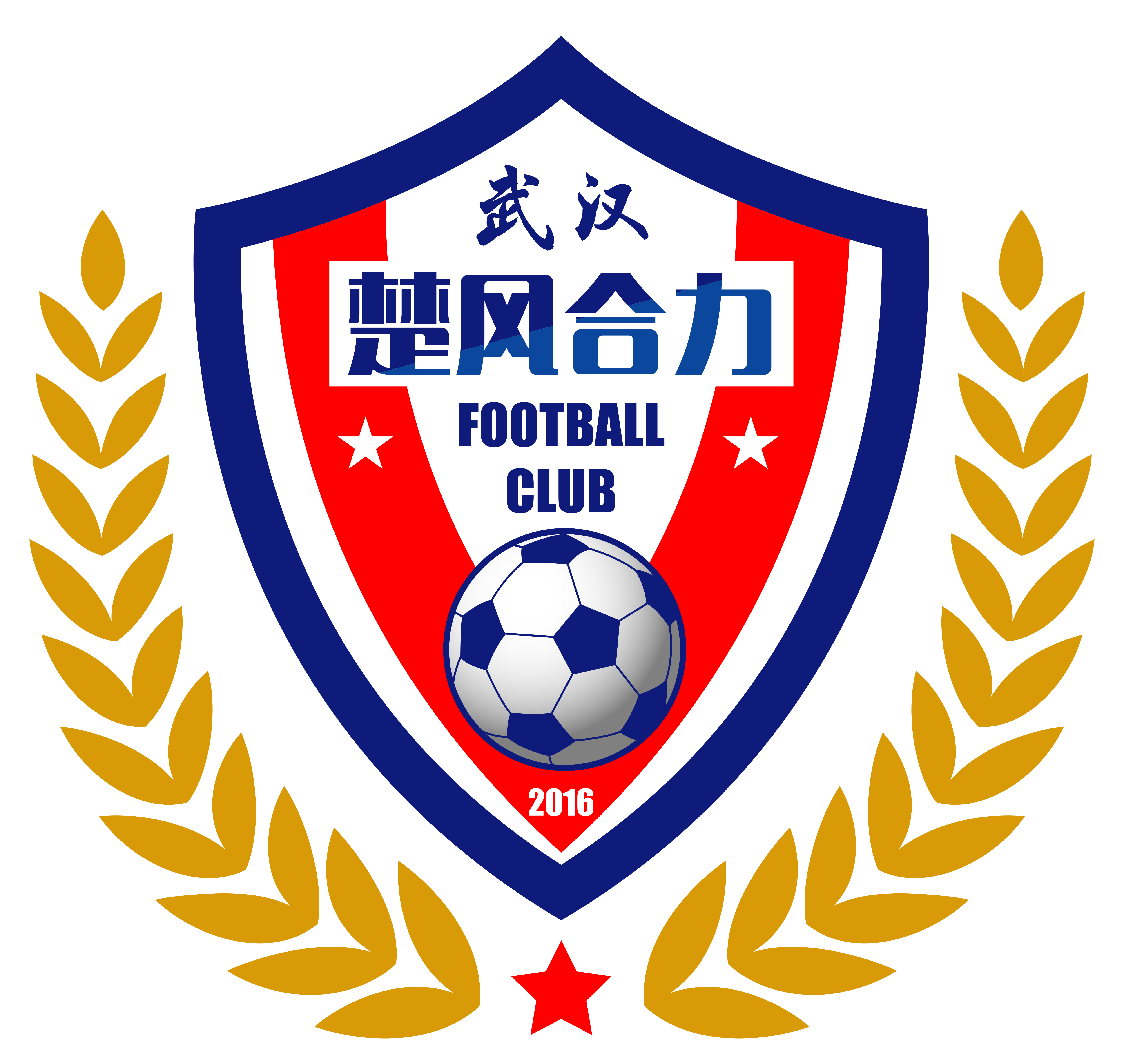 湖北楚风合力足球俱乐部 湖北楚风合力足球俱乐部