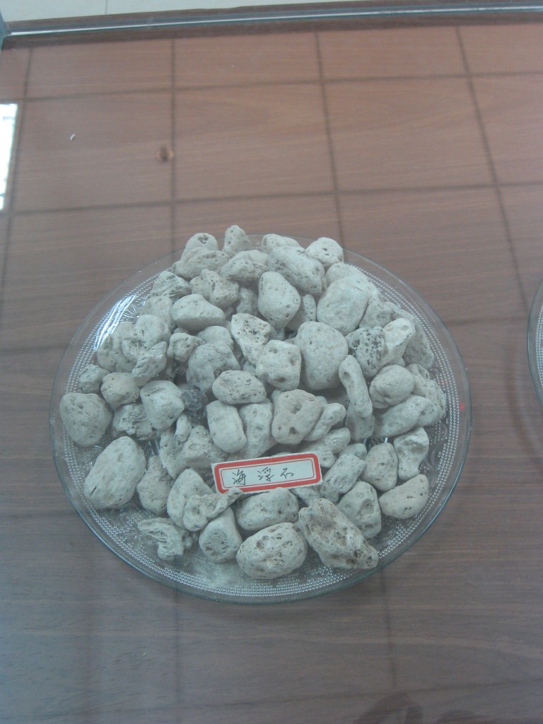 海浮石 海浮石
