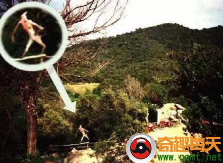 泽西恶魔 泽西恶魔