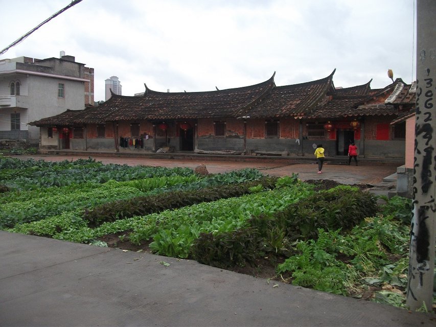 沧溪村 沧溪村