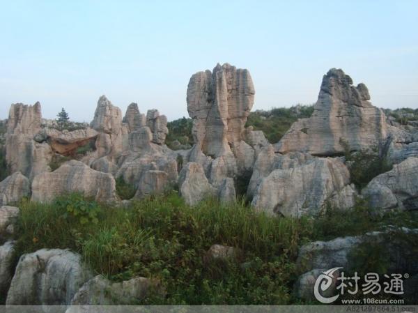 温塘镇(湖南新化县温塘镇) 温塘镇(湖南新化县温塘镇)