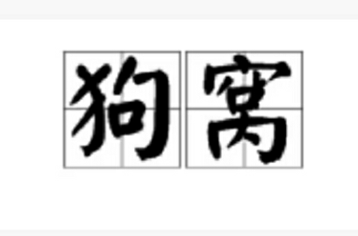 狗窝 狗窝