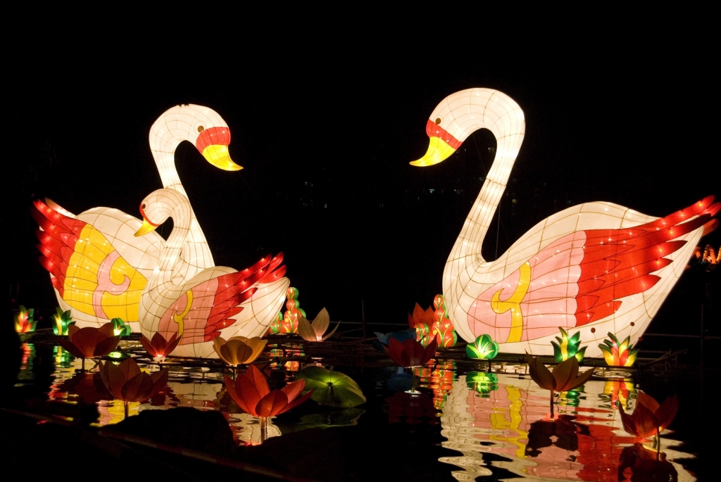 灯会 灯会