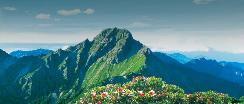 玉山全景 玉山全景