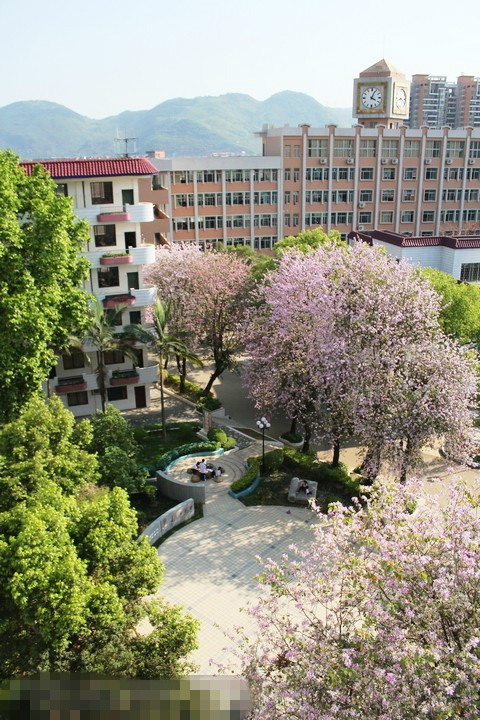 清远市阳山中学 清远市阳山中学
