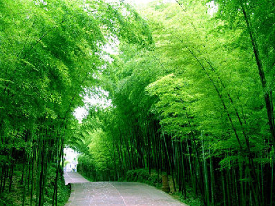 桃江县 桃江县