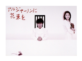 献给阿尔吉侬的花束(日本2002年中山裕介主演的电视剧)