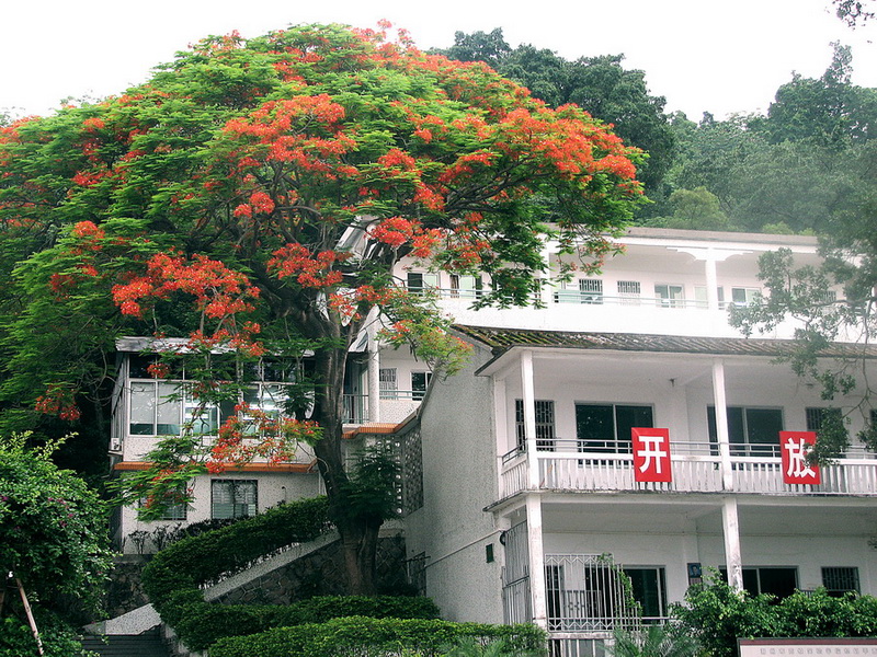 潮州市高级实验学校 潮州市高级实验学校