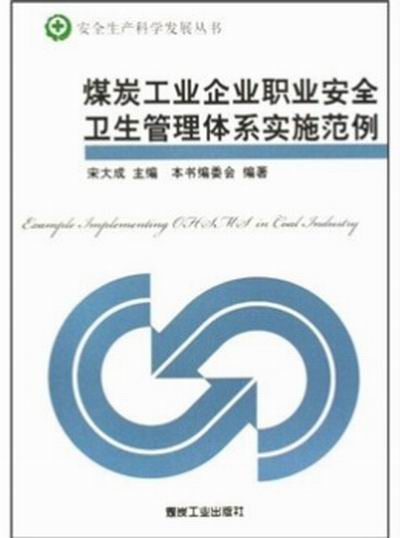 煤炭工业企业职业安全卫生管理体系实施範例 煤炭工业企业职业安全卫生管理体系实施範例