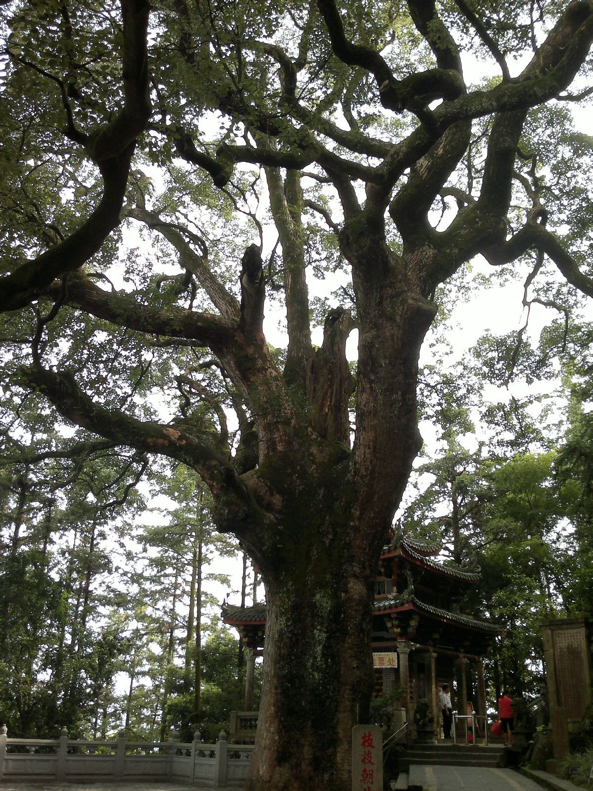 清水岩(福建省泉州市安溪县十八景点之一) 清水岩(福建省泉州市安溪县十八景点之一)