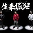 特种部队(南征北战演唱歌曲) 特种部队(南征北战演唱歌曲)