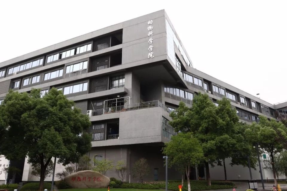 浙江大学动物科学学院 浙江大学动物科学学院