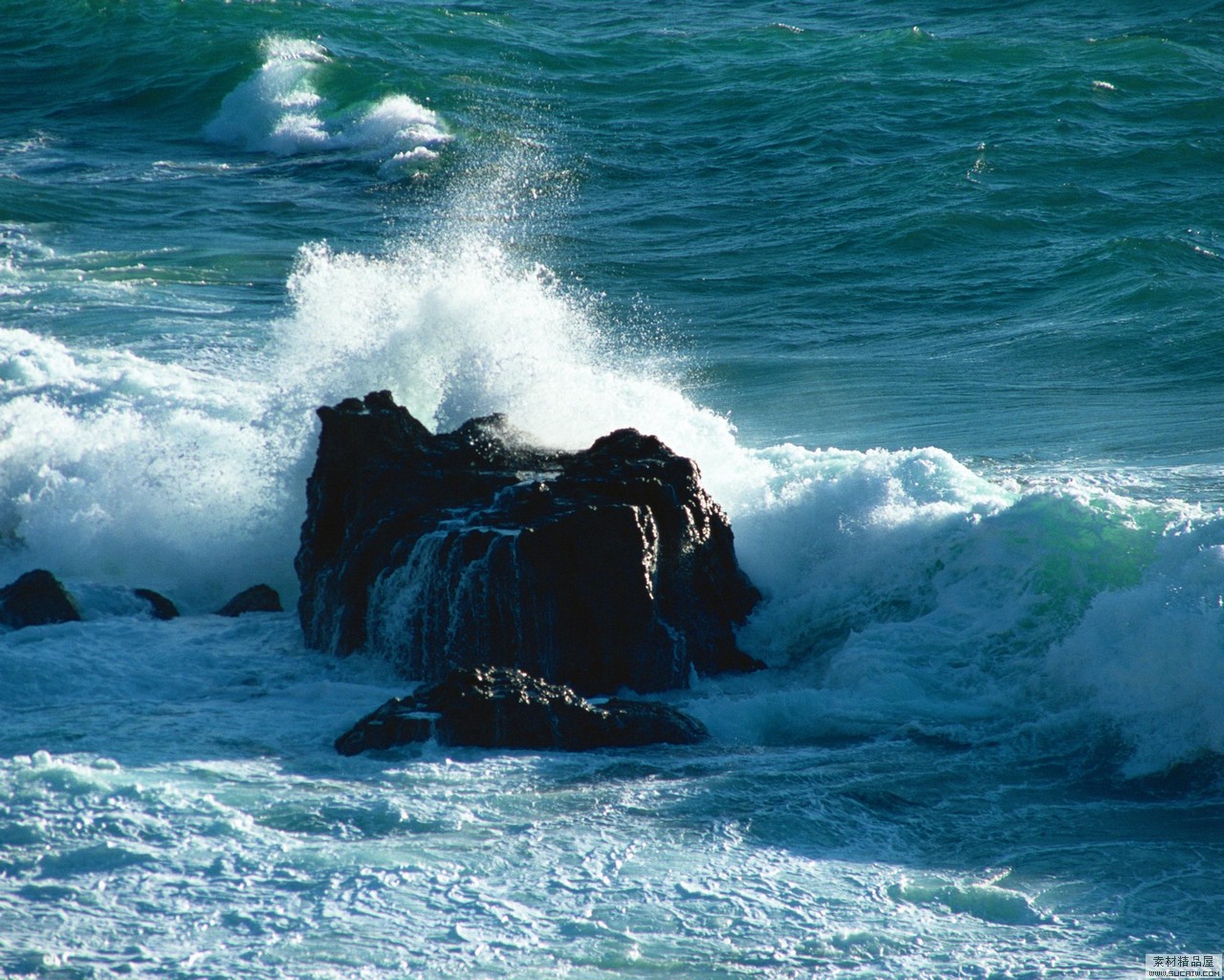 海洋 海洋