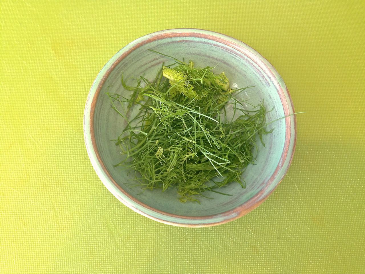 牛油果茴香沙拉