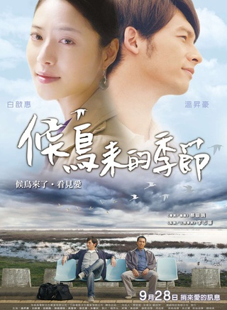 海伦清桃